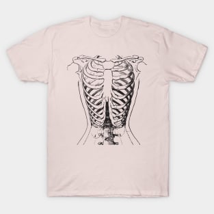 Anatomy bones T-Shirt